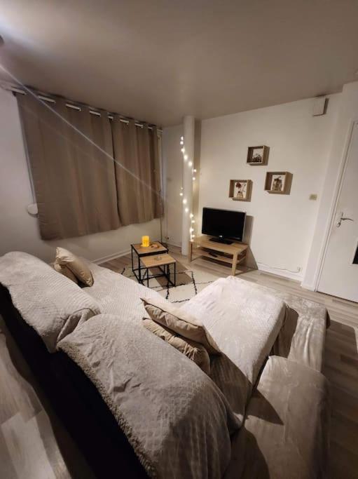 Apartment Cosy Et Chaleureux *